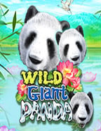 เคล็ดลับ สูตร บา คา ร่า dg gaming ที่ต้องลอง